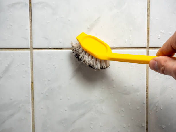 Best Fast Mold Removal  in Winsted, CT