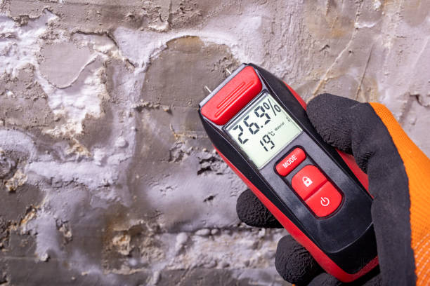 Best Mold Damage Repair  in Winsted, CT